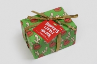 Santas Little Helper.jpg